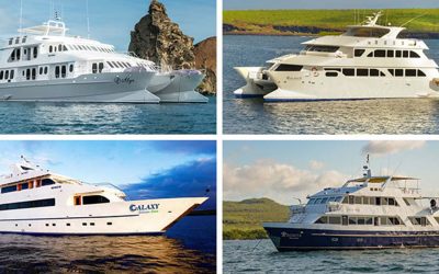 Which Galapagos Cruise is the best?