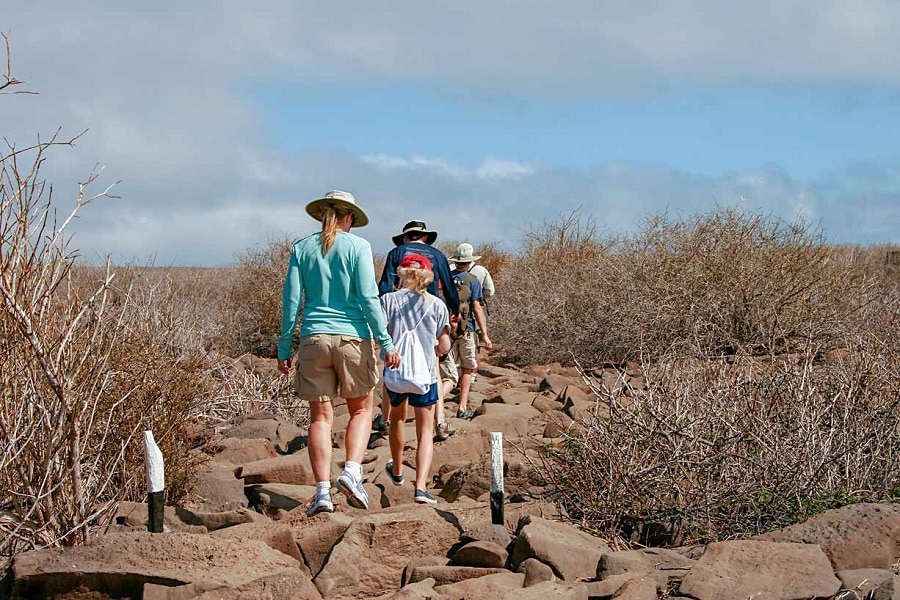 galapagos-travel-after-quarantine-strict-rules-preserve