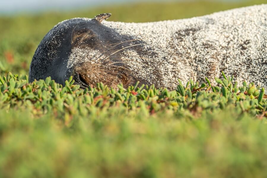 galapagos-travel-after-quarantine-take-break