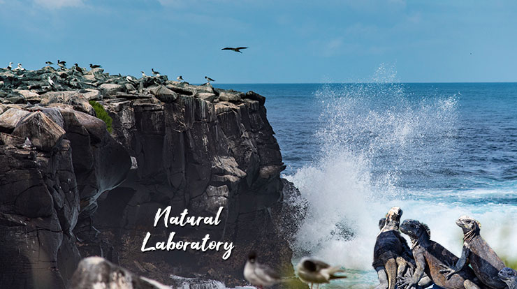 Galapagos natural-laboratory