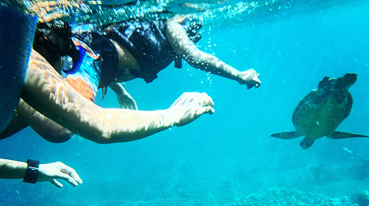 best-time-to-visit-galapagos-snorkel-ecuador-and-galapagos-news