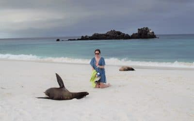 Galapagos resume its touristic activities