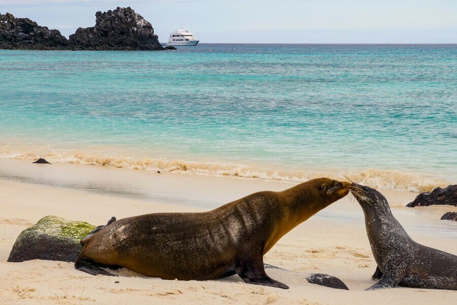 The galapagos cruises sail long distances_ecuador_and_galapagos_news