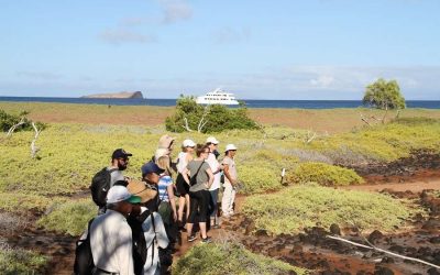 Cruceros o Tours entre islas en Galápagos