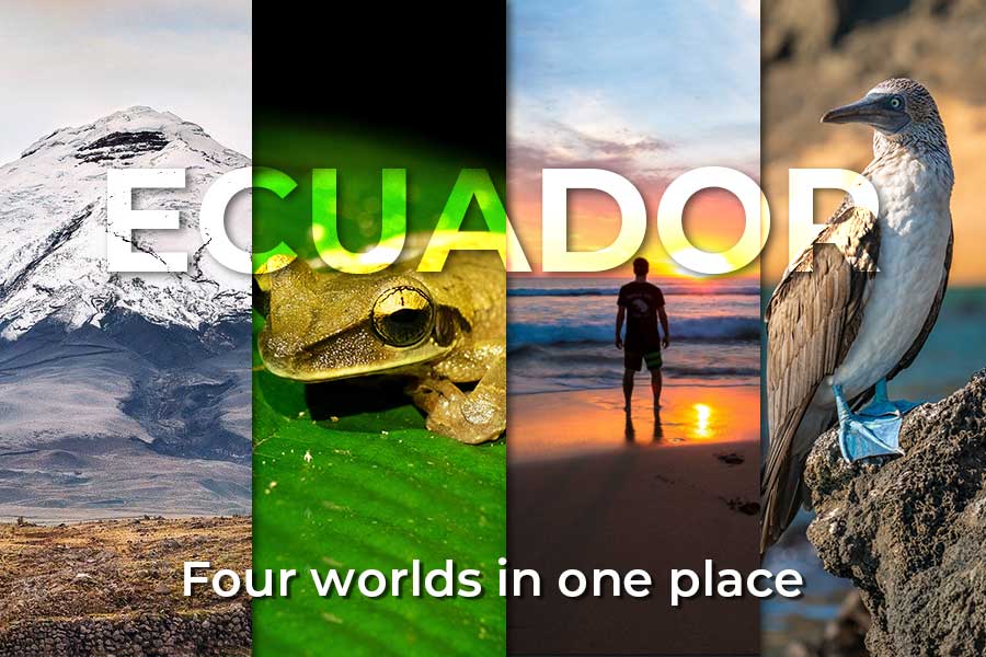 ecuador-four-worlds-ecuador-and-galapagos-news