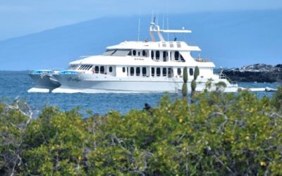 Categorías de cruceros para 16 pasajeros en Galápagos