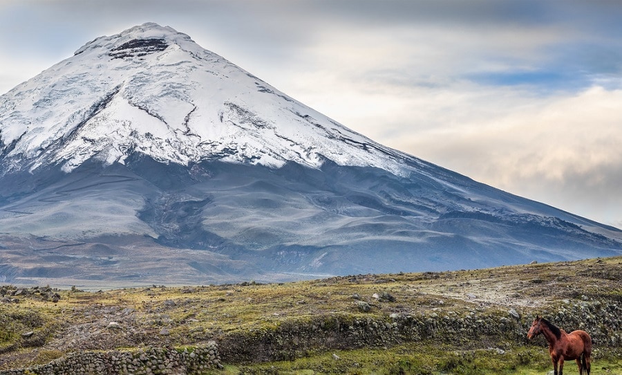 mountain-volcano-horse-landscape