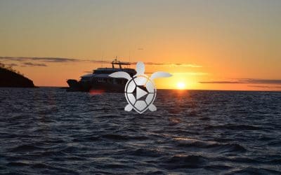 MYDAS: Una App de entretenimiento a bordo en los Cruceros de Galápagos