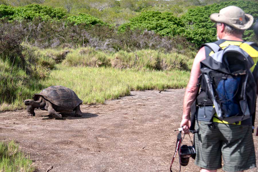 Amazing activities - Galapagos