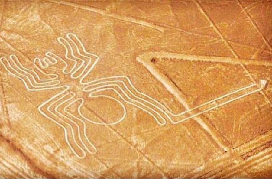 Spider nazca lines Peru