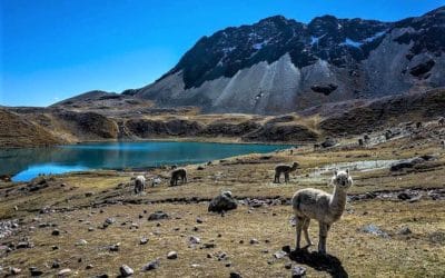 Top 5: Montañas ideales para visitar en Perú