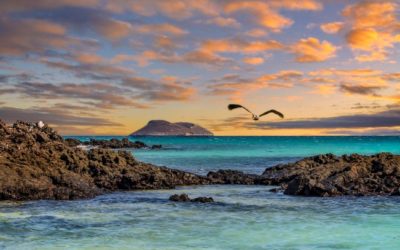 4 Datos interesantes acerca de las Islas Galápagos