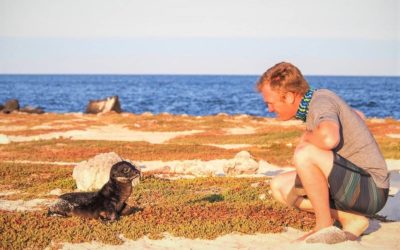 4 Reasons why the Galapagos Islands should be on your travel bucket list