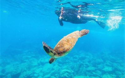 Snorkeling in the Galapagos Islands, an unforgettable experience