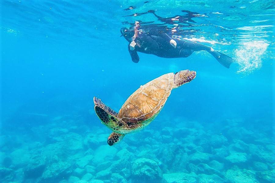 snorkel en las islas galápagos