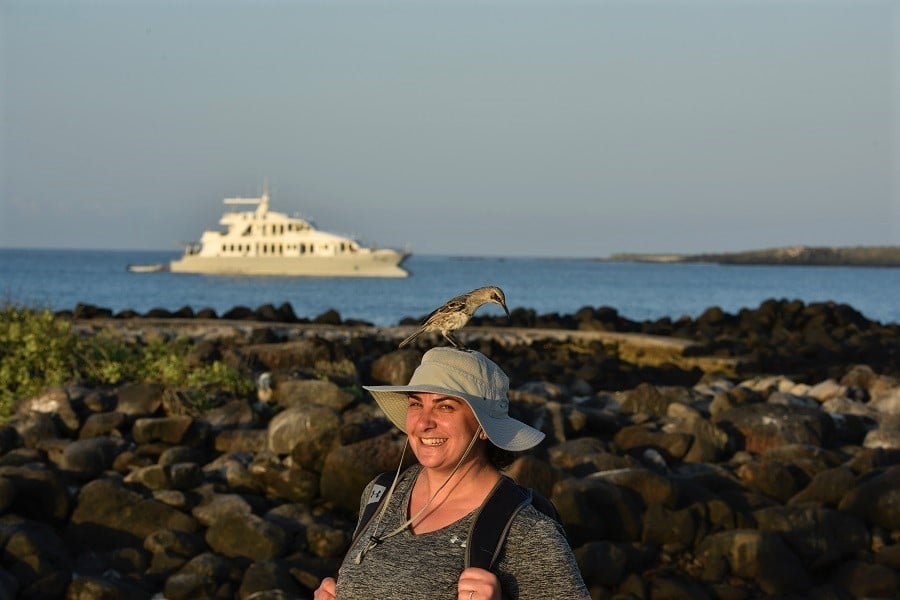 Ave posando en la cabeza de una turista en Galápagos