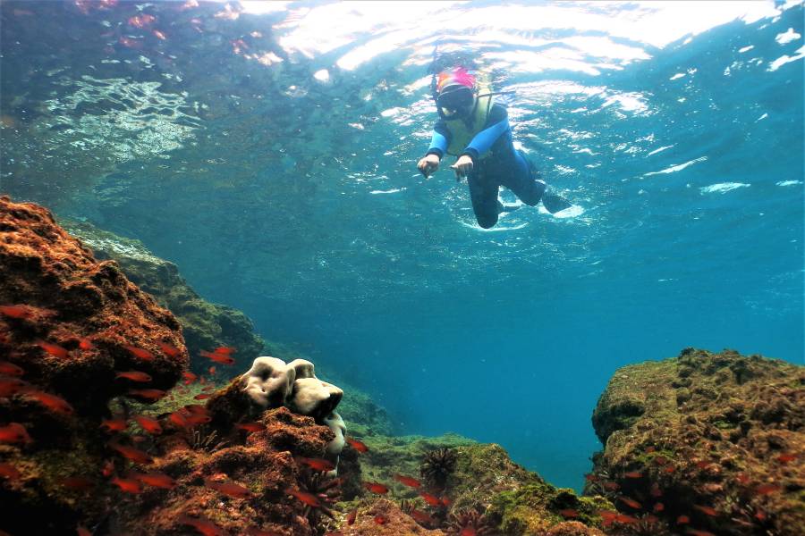 Niño haciendo snorkel en Galápagos