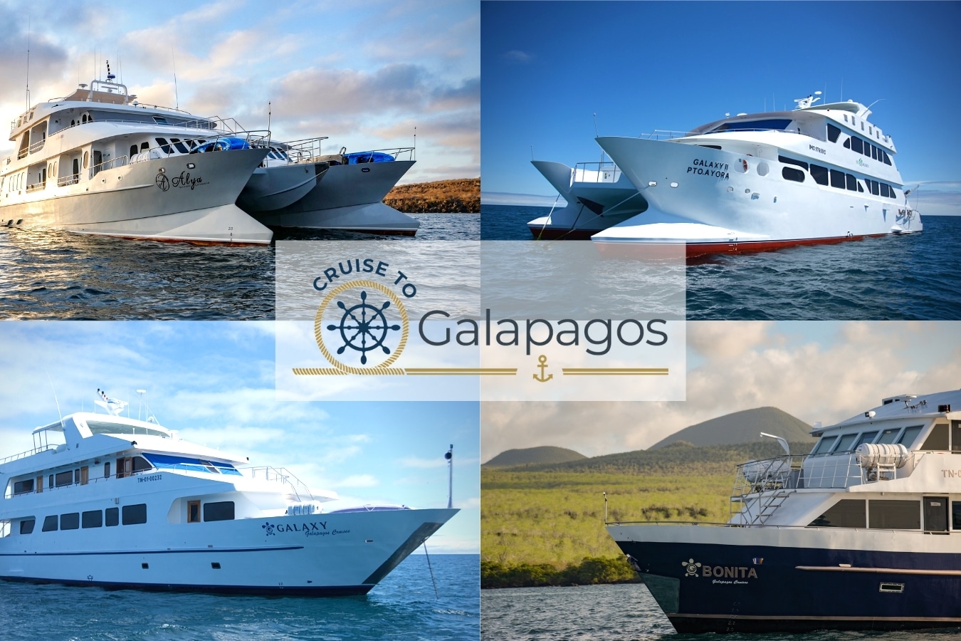 The best Galapagos cruises
