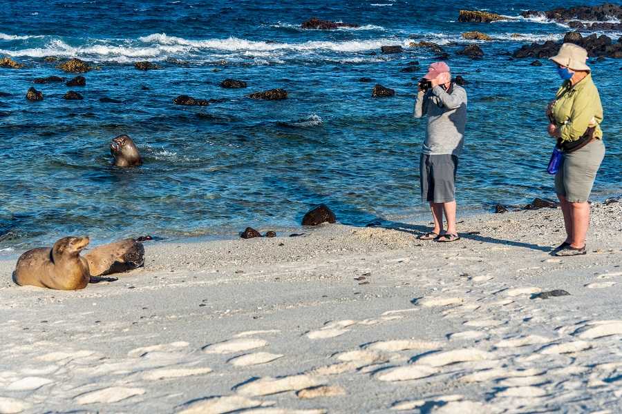 Turistas con lobo marino de Galápagos