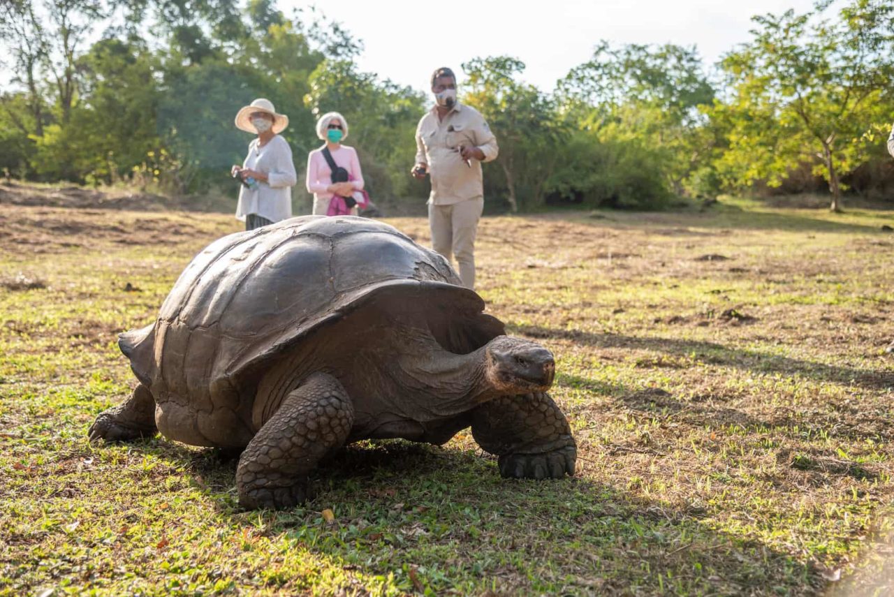 Is it safe to travel to the Galapagos Islands?