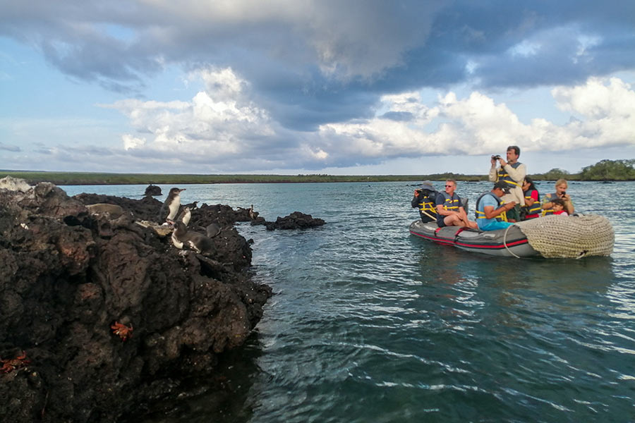 Travelers on the Galapagos Islands