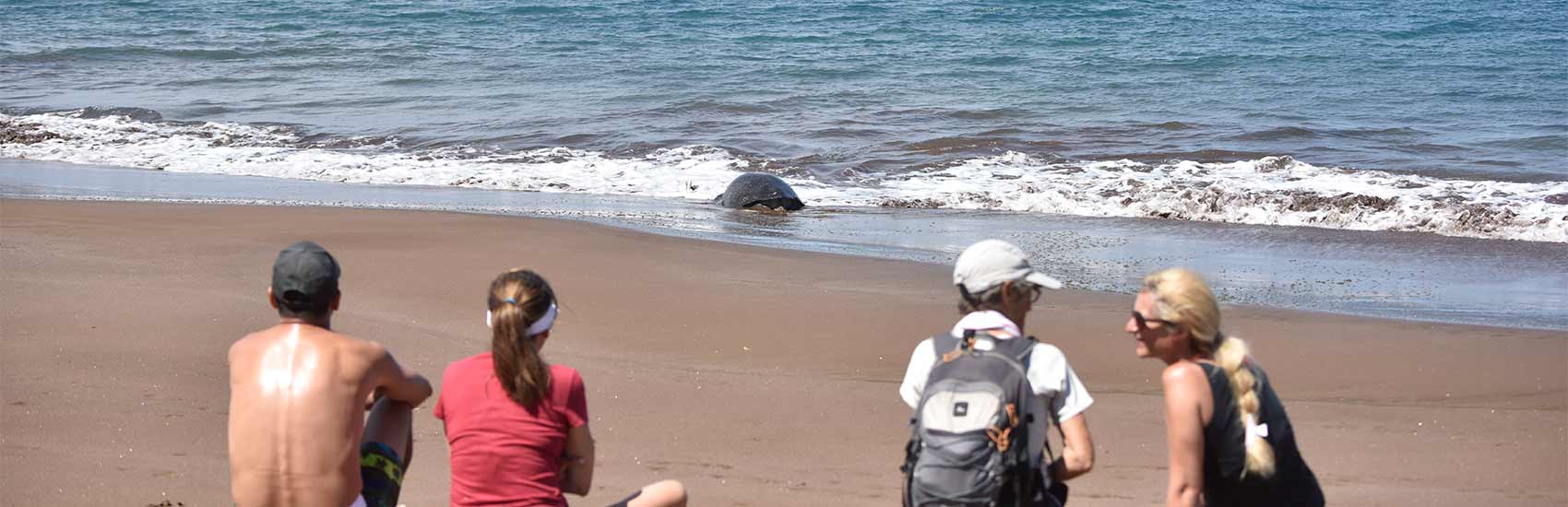 ¿viaje A Galápagos Una Guía Rápida Con Todo Lo Que Debes Saberemk 5805