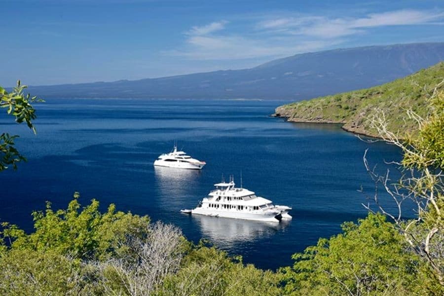 alya galapagos luxury cruise origin