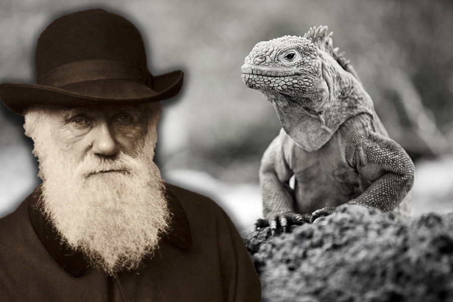 charles darwin and the origin of the species