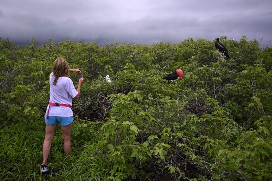 Birdwatching in galapagos
