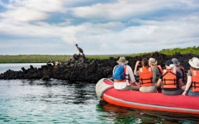 3 Tips for a Galapagos Responsible Travel