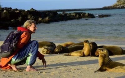 Sustainable Tourism and Conservation in The Galapagos Islands