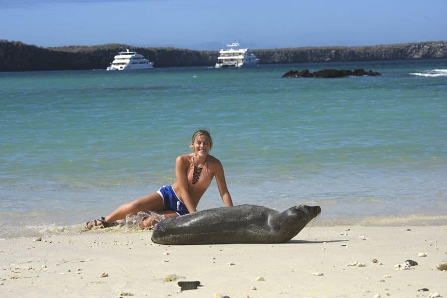 traveler and galapagos sea lion on the beach