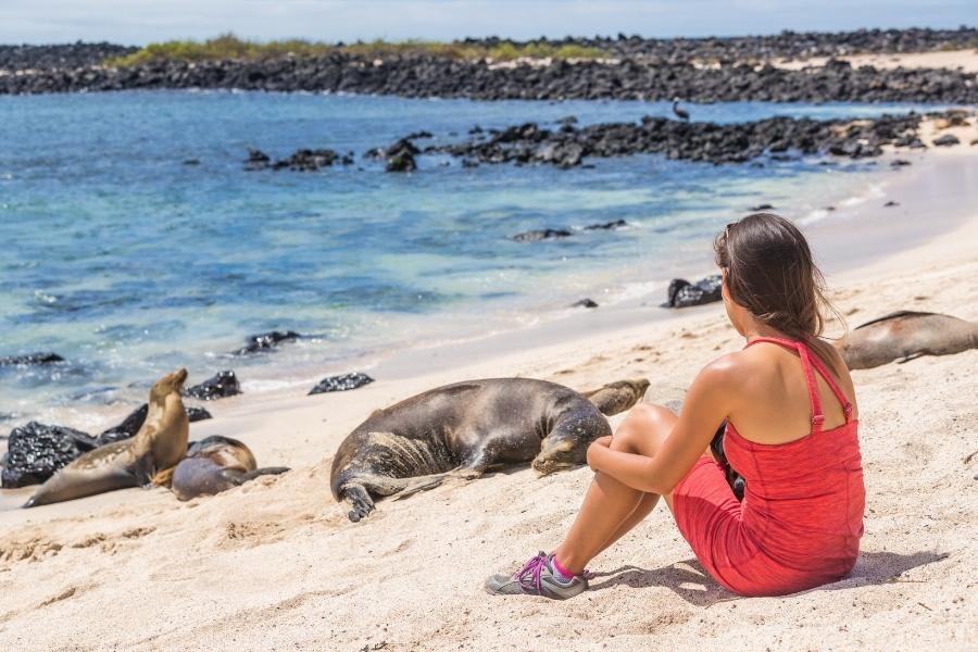 girl observing galapagos sea lions
