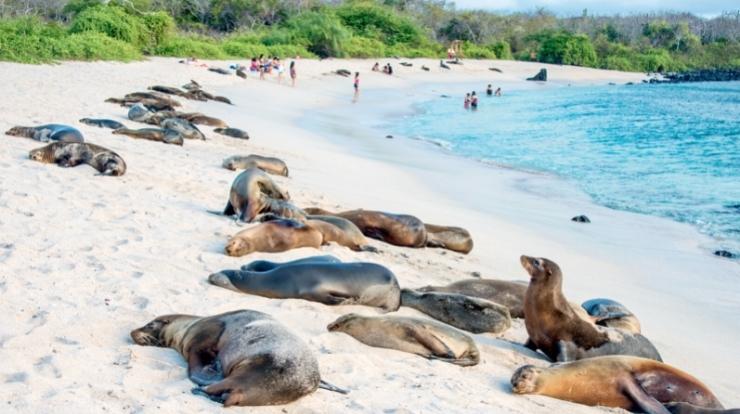 Galapagos Month by Month | Weather, wildlife, and what to expect.