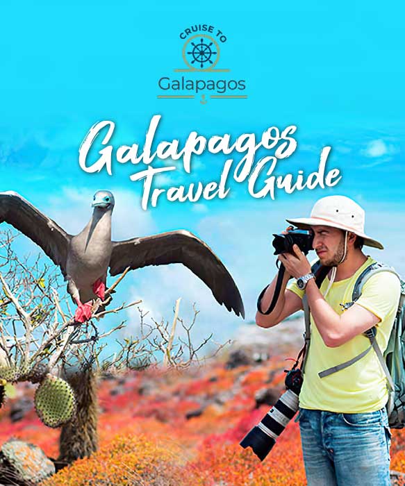 Galapagos islands explore