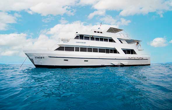 Cruise to Galapagos: Bonita Yacht